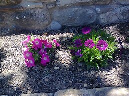 Agriturismo San Pietro