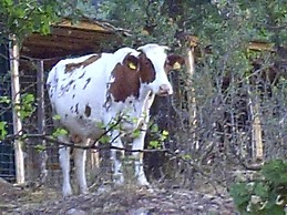 Agriturismo San Pietro