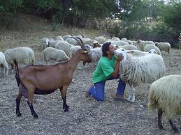 Agriturismo San Pietro