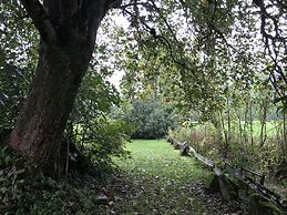Pure nature alps