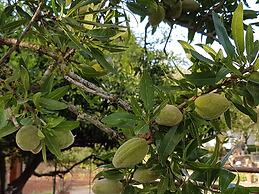 Le Radici Casa Vacanze