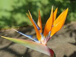 Le Radici Casa Vacanze