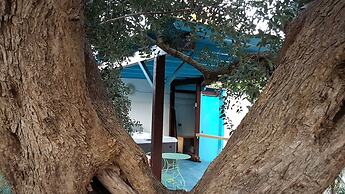 Le Radici Casa Vacanze