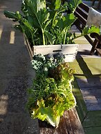 Le Radici Casa Vacanze