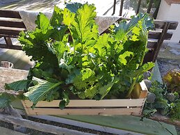 Le Radici Casa Vacanze