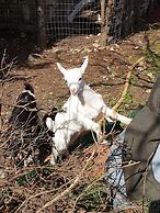 Le Radici Casa Vacanze