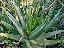 Le Radici Casa Vacanze