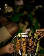 Tropicalfolks Campers Lodge