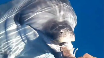 Casagliana Suite Resort