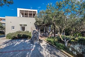 Apartments Olive Garden