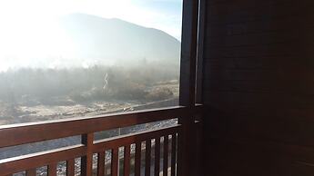 Apartments in Down Town Complex