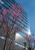 Daiwa Roynet Hotel Hiroshima Station