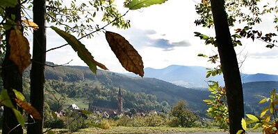 Les Gites La Cerisaie