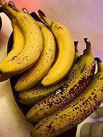 Hotel California ***