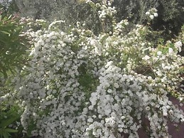 Albergo villa nobile