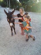 La Valle Dei Corbezzoli