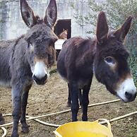 La Valle Dei Corbezzoli