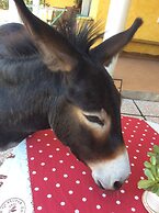 La Valle Dei Corbezzoli