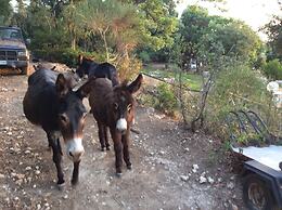 La Valle Dei Corbezzoli