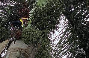 Hotel Tropical Garden