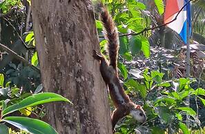 Hotel Tropical Garden