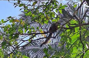 Hotel Tropical Garden