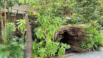 Orchid House Tulum Jungle