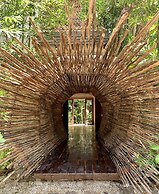 Orchid House Tulum Jungle