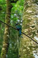 Koora Hotel by Sandglass