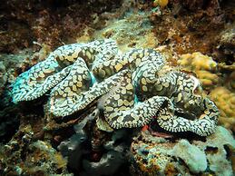 Viani Bay Resort at Dive Academy Fiji