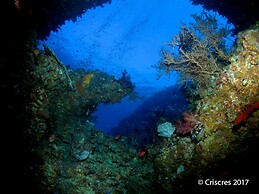 Viani Bay Resort at Dive Academy Fiji