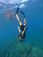 Viani Bay Resort at Dive Academy Fiji