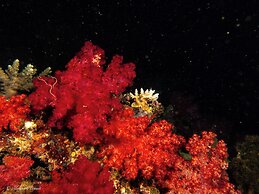 Viani Bay Resort at Dive Academy Fiji