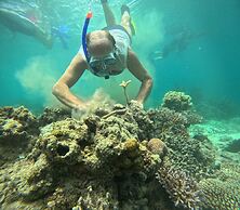 Viani Bay Resort at Dive Academy Fiji