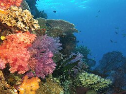 Viani Bay Resort at Dive Academy Fiji