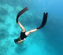 Viani Bay Resort at Dive Academy Fiji