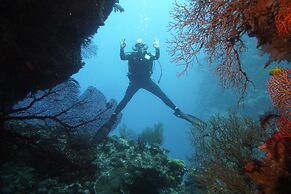 Viani Bay Resort at Dive Academy Fiji