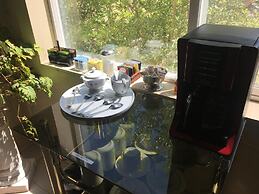 Shady Lady Bed & Breakfast