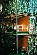 TravelBox Dorm Sweet Dorm - Hostel