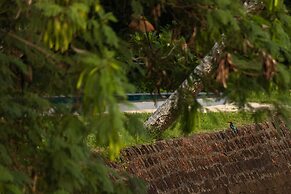 Cranganor History Cafe Riverside Chateau