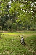 Cranganor History Cafe Riverside Chateau