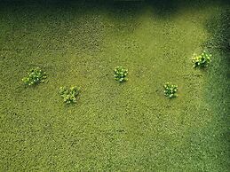 The Lively Hotel Kualanamu Airport Medan