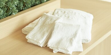 Sotetsu Fresa Inn Kobe Sannomiya