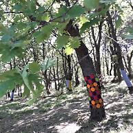 Villa Fontane Provence