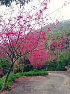 After Hill Greenhouse Resort