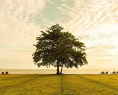 Ana Anan Resort & Villas Pattaya