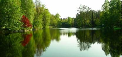 Blick zum Maimont