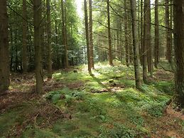 Blick zum Maimont