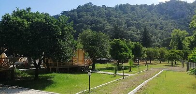 Kara Kedi Beach Bungalow