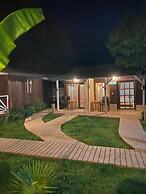 Kara Kedi Beach Bungalow